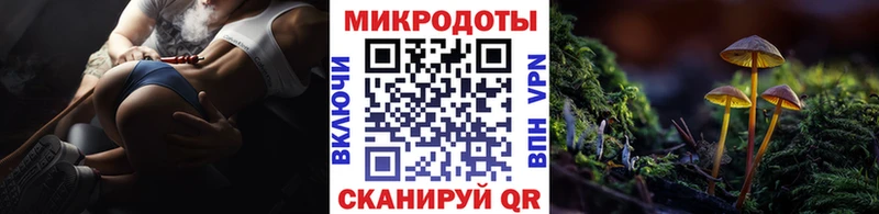 МЕГА ссылка  наркотики  Бокситогорск  Галлюциногенные грибы GOLDEN TEACHER 